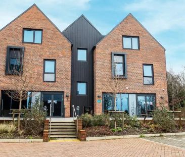 Townhouse Deluxe Studio - Photo 5