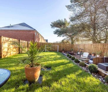 3 bedroom semi-detached house to rent - Photo 1