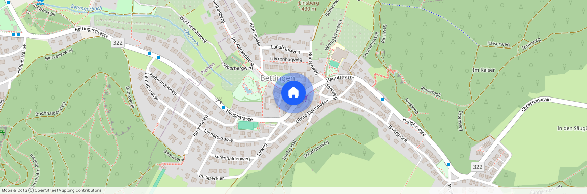 4126, Bettingen, Hauptstrasse, 85