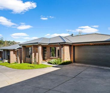 5/5 Elamo Road, Healesville - Photo 5