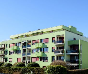 2 Zimmer, 56 m², 1. Stock - Photo 2