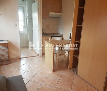 Location Appartement 1 pièce 15m² ST AMAND LES EAUX 59230 - Photo 3