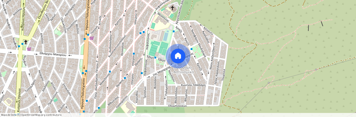 Αστυνομικά (Ηλιούπολη)