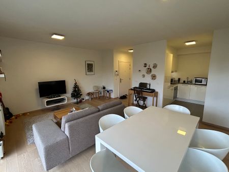 Avenue Ginette Javaux, 1160, Auderghem - Photo 5