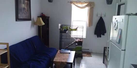 Immeuble - 107-109-111 Queen 3 1/2 Secteur Lennoxville - Photo 3