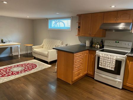 For Lease - 286 Axminster Drive Unit# BSMT1, Richmond Hill, Ontario - Photo 5