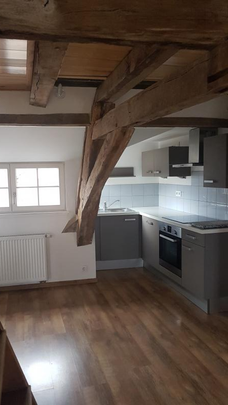 Location Appartement 2 pièces 39m² WISSEMBOURG 67160 - Photo 1
