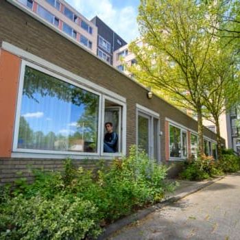 Jacob van Campenplein 252A - Photo 3