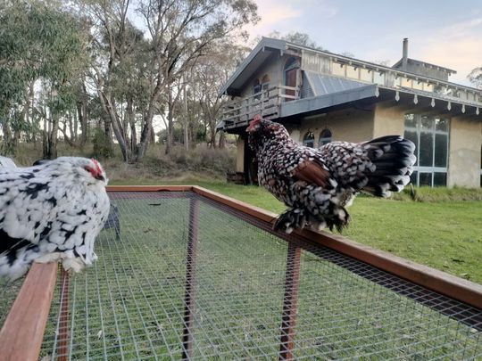 Belgrave South - Photo 1