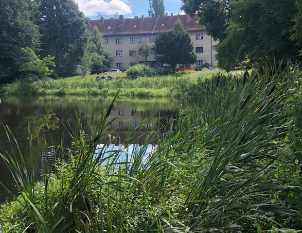 Nachmieter gesucht zum 01.12: schöne 2z Wohnung in Reinickendorf - Foto 1