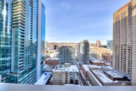 Appartement à louer - Montréal (Ville-Marie) (Centre) - Photo 4