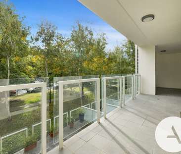 20/45 Blackall St, Barton ACT 2600 - House For Rent | Domain - Photo 4