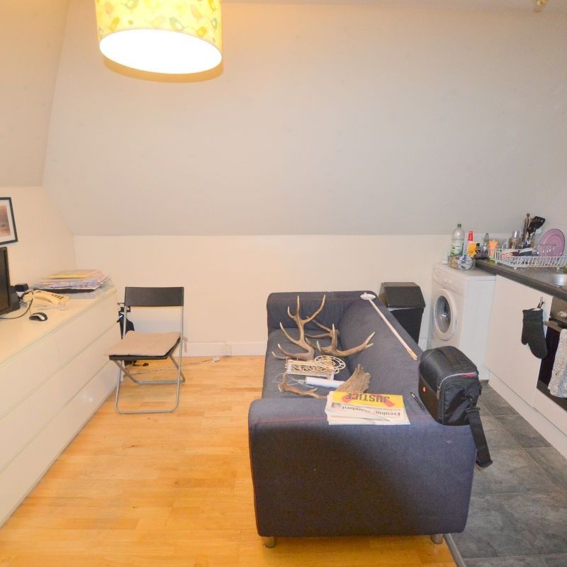 Studio Flat, Lavender Hill, SW11 - Photo 1