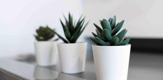 Studio rénové - Métro Crémazie - Photo 2