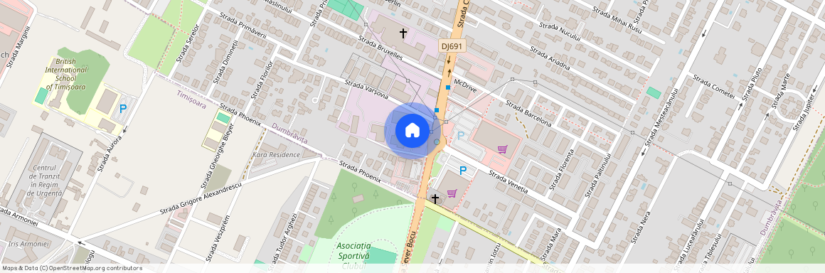 Timis, Timisoara