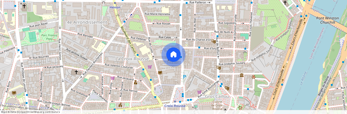 8 RUE DUMONT, 4EME, Lyon