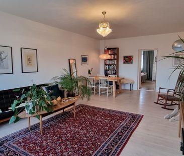 Rådmansgatan, Malmö - Foto 2