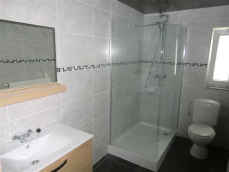 Maison 3 chambres avec jardin - Photo 3