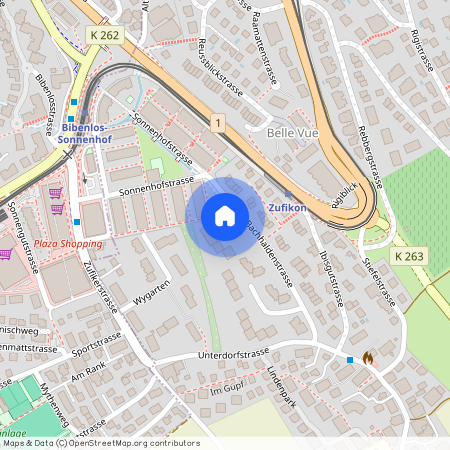 Bachhaldenstr, 33, 5621 Zufikon