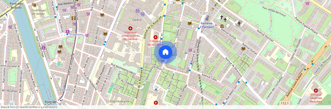 1206, Genève, Avenue de Beau-Séjour, 23