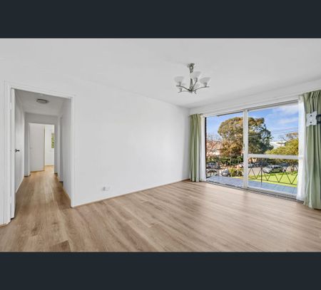 1/1 Elgin Street, Hunters Hill, NSW 2110 - Photo 5