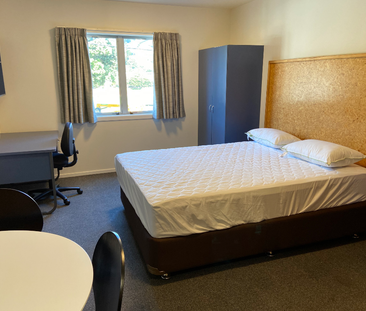 Fully Furnished Studio in Mt Cook - Photo 1