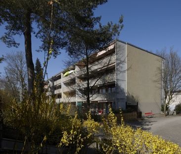 Vivre dans un environnement vert - Photo 3