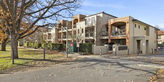 Stylish Inner North Living with Leafy Views - Photo 3