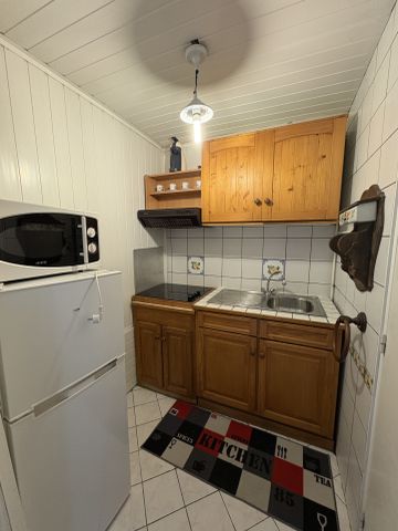 Location Appartement 1 pièce 16m² PALAISEAU 91120 - Photo 4