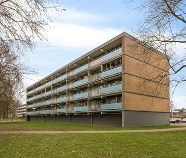 Apartment Arnhem - Leimuidenplaats - Photo 3