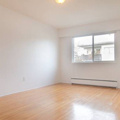 Large, Bright, Cat Friendly One Bedroom Apartment - Photo 3