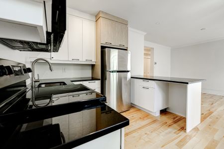 Condo for rent, Montréal (Le Plateau-Mont-Royal) - Photo 4