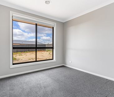 Modern Family Living in the Heart of Huntly - Photo 1