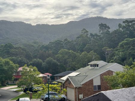 Figtree - Photo 5