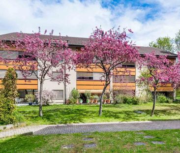 3.5 Zimmer, 80 m², EG - Photo 5