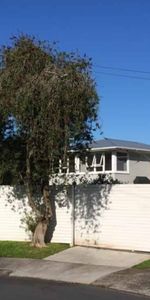 Charming 3-Bedroom Weatherboard Home in Ellerslie - Photo 4