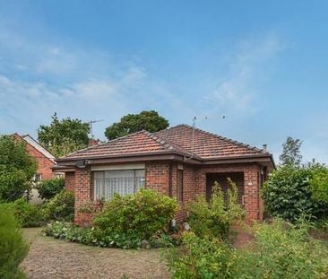 33 High Street Road, Ashwood VIC 3147 - House For Rent | Domain - Photo 2