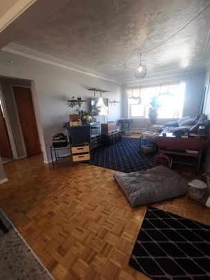 6 - 500 Clarence Street - Photo 1