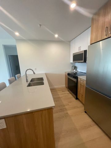 3 Bedroom unit – Newly Built Alera Living - Photo 5