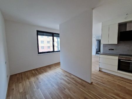 NEUBAU! EINZUG 30.10. - Heimeliges Zuhause am Wienerberg! - Foto 2