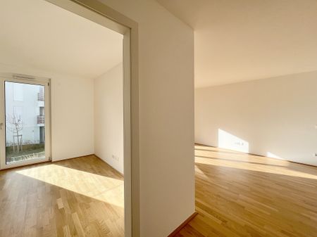 NEUE - 2Zi- 53,26qm- WBalkon-MIETE, Lift, Tiefgarage, in beliebter Grünruhelage - Photo 2