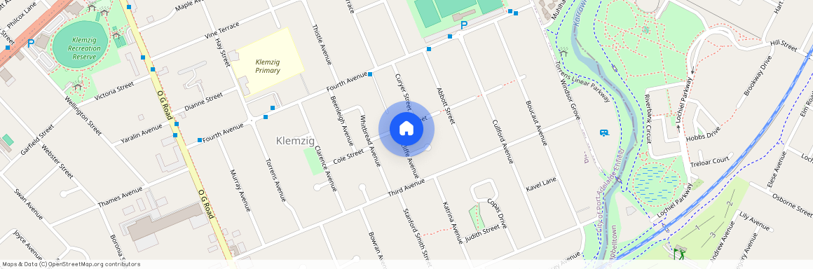 12 Cole Street, SA 5087, Klemzig