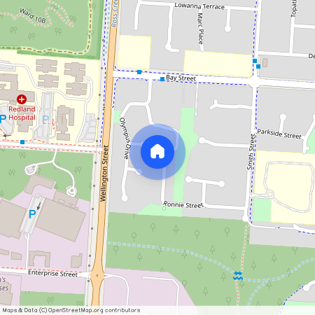 42 Ronnie Street, Qld 4163, Cleveland