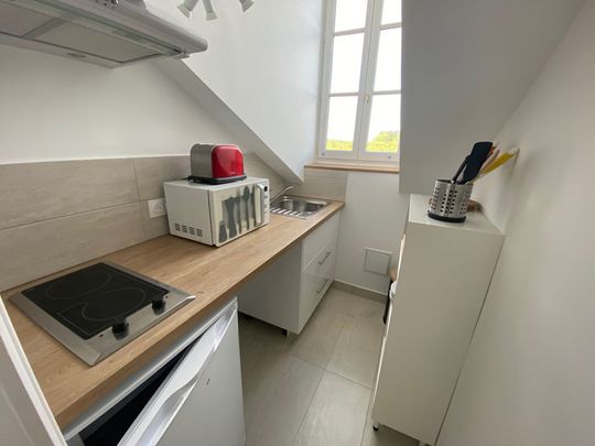 STUDIO NEUF MEUBLE 25M2 AU SOL ( 19.09 carrez ) - Photo 1