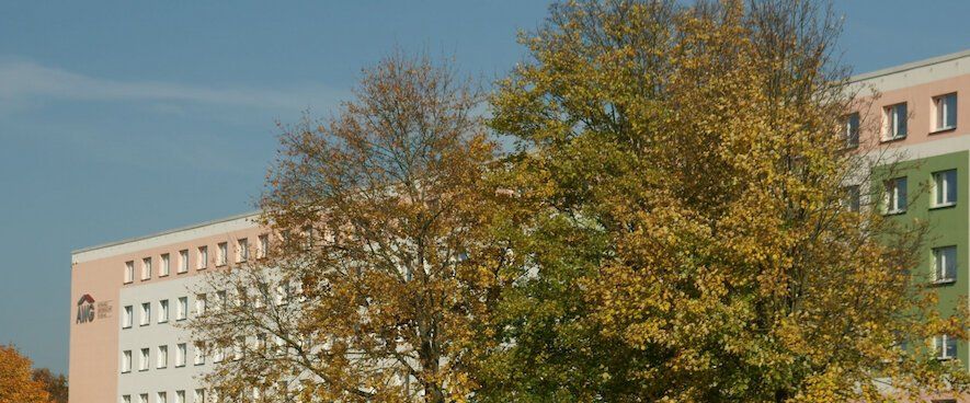 Moltkestraße 8, 08523 Plauen - Foto 1