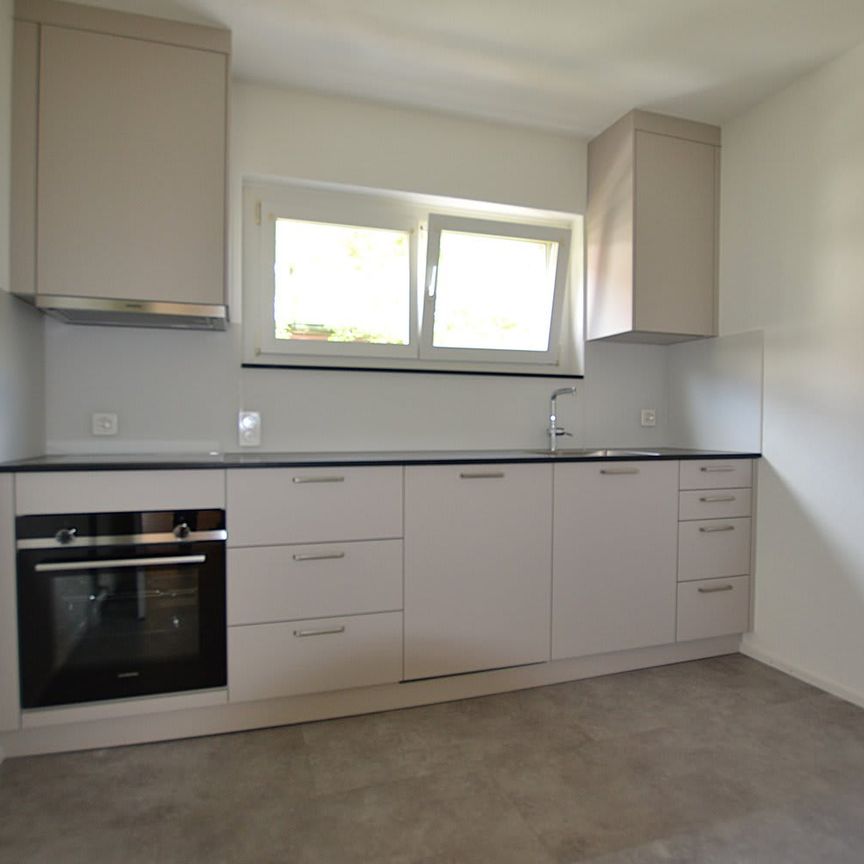 3 Zimmer, 65 m², 1. Stock - Foto 1