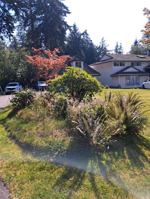 $5,000 / 5br – 43560ft2 – South Surrey 3500sq/ft , 5bed/4bath, one Acre land house (Surrey) R0062 - Photo 1