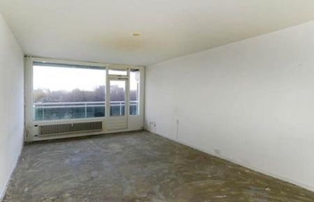 Forellendaal 2553 's-Gravenhage - Foto 2