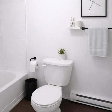 1 CH - 1 SDB - Montréal - $1,175 /mo - Photo 4