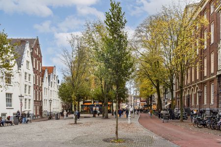 Nieuwezijds Voorburgwal 288 A, 1012 RT AMSTERDAM - Photo 3